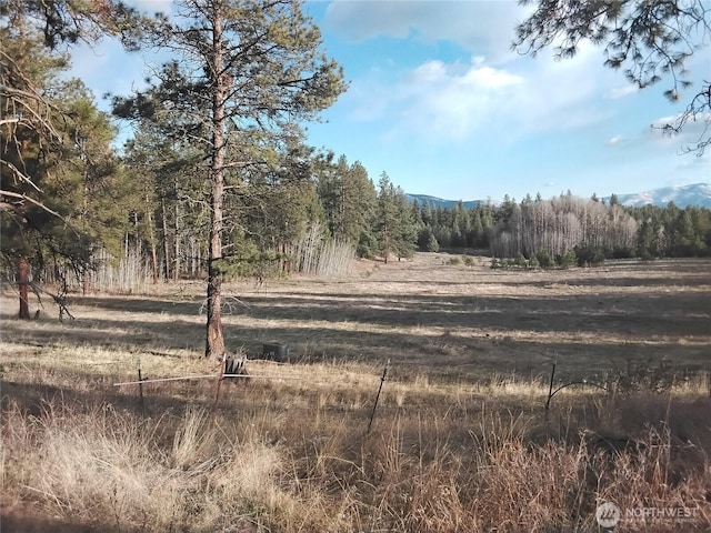 193 Blue Meadows Rd, Tonasket, WA 98855 - view of landscape featuring a wooded view