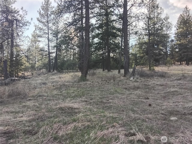 193 Blue Meadows Rd, Tonasket, WA 98855 - view of local wilderness
