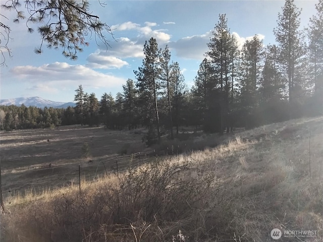 193 Blue Meadows Rd, Tonasket, WA 98855 - view of nature with a mountain view and a wooded view