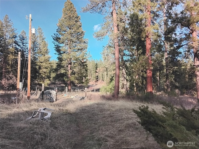 193 Blue Meadows Rd, Tonasket, WA 98855 - view of local wilderness