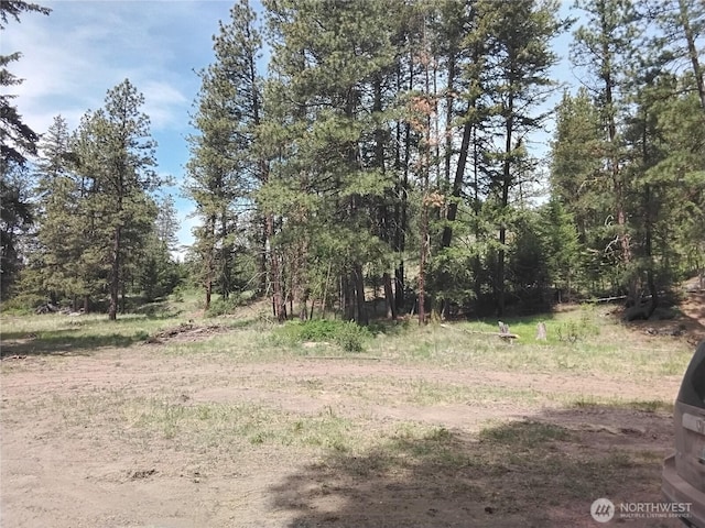 193 Blue Meadows Rd, Tonasket, WA 98855 - photo 11