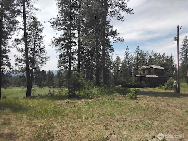 193 Blue Meadows Rd, Tonasket, WA 98855 - photo 12