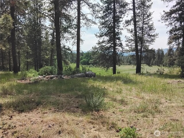 193 Blue Meadows Rd, Tonasket, WA 98855 - photo 13