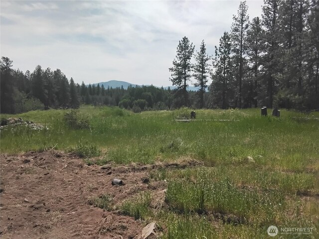 193 Blue Meadows Rd, Tonasket, WA 98855 - photo 10