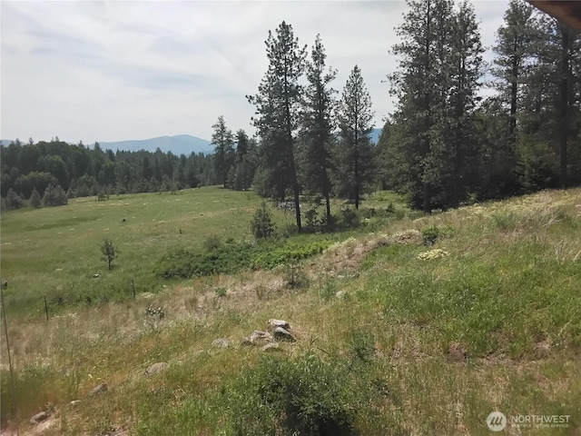 193 Blue Meadows Rd, Tonasket, WA 98855 - photo 1