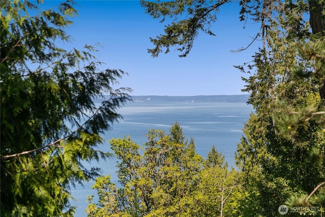 6698 Crimson Sky Loop, Seabeck, WA 98380 - photo 2