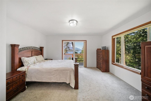 6698 Crimson Sky Loop, Seabeck, WA 98380 - photo 20