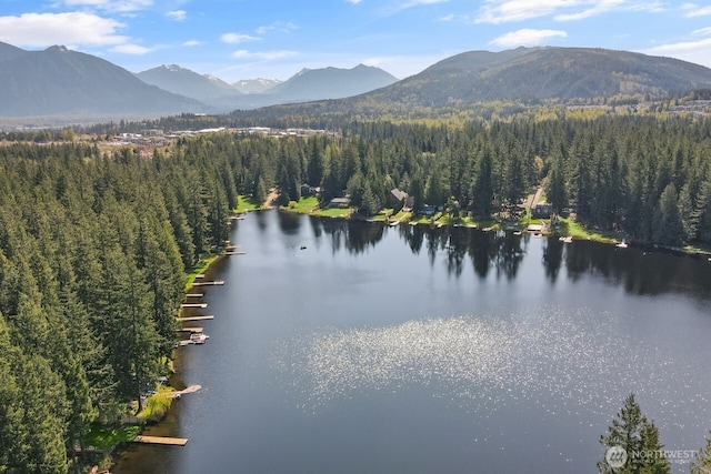 view of water feature with a mountain view and a forest view