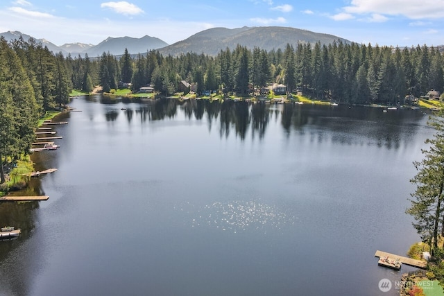 property view of water with a mountain view and a wooded view