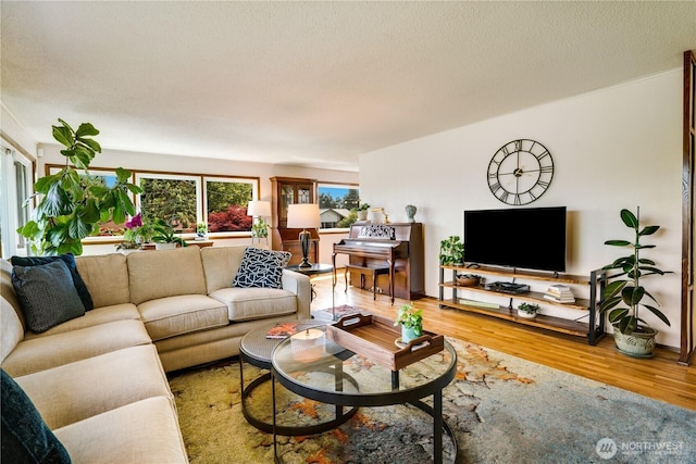 living area featuring wood finished floors