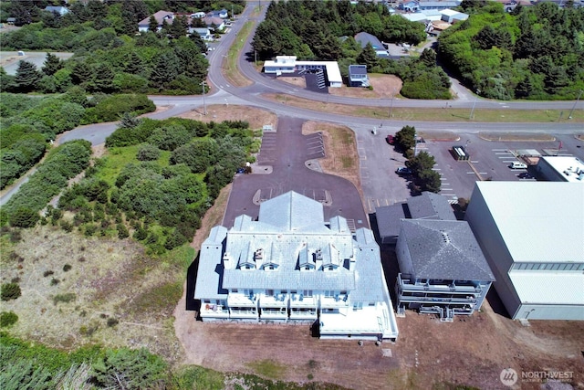 drone / aerial view