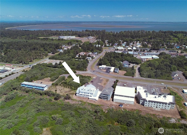 drone / aerial view featuring a water view and a view of trees