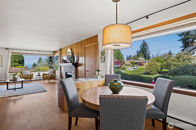 dining room with a baseboard radiator, wooden walls, wood finished floors, and a stone fireplace