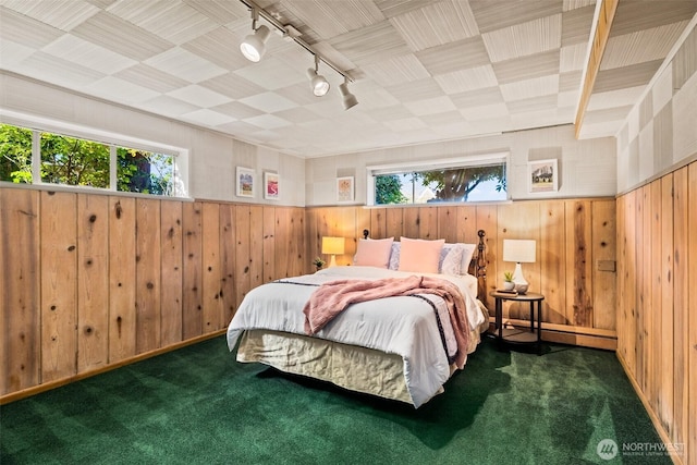 carpeted bedroom with rail lighting and wood walls