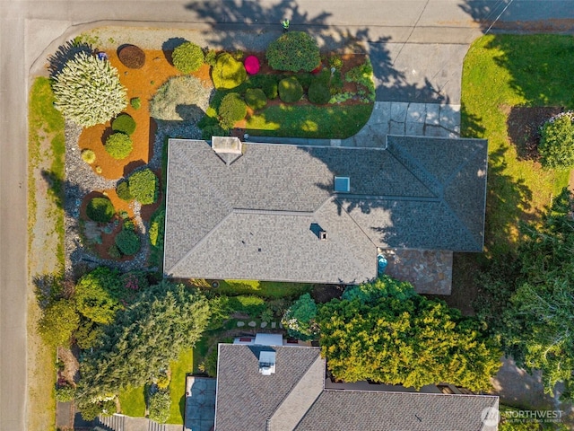 drone / aerial view