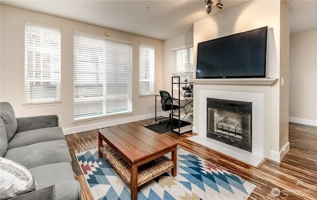 living area with baseboards, wood finished floors, and a fireplace