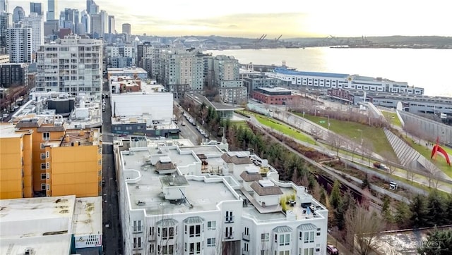 birds eye view of property featuring a city view and a water view