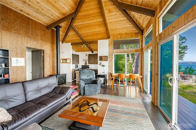 60 Eliza Is, Bellingham, WA 98226 - living room with beamed ceiling, wooden ceiling, a wood stove, and dark wood-type flooring