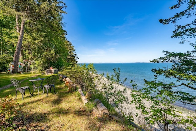 60 Eliza Is, Bellingham, WA 98226 - view of water feature