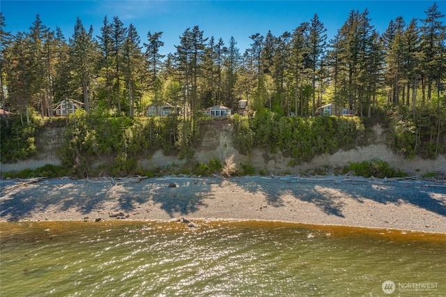 60 Eliza Is, Bellingham, WA 98226 - view of yard