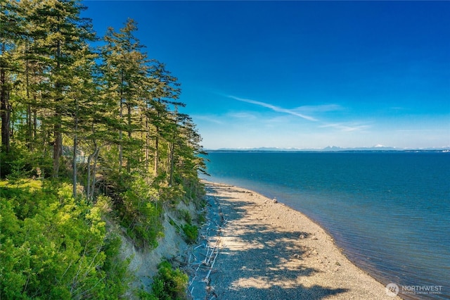 60 Eliza Is, Bellingham, WA 98226 - view of water feature