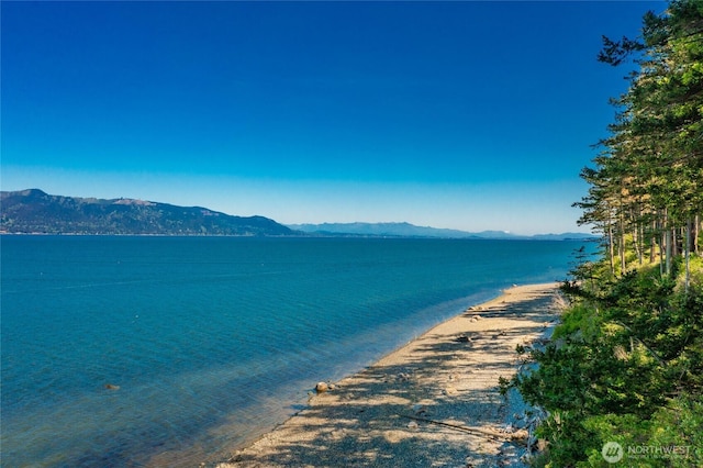 60 Eliza Is, Bellingham, WA 98226 - view of water feature with a mountain view
