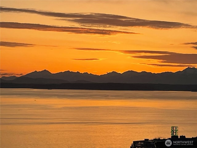 2125 1st Ave Unit 802, Seattle, WA 98121 - photo 40