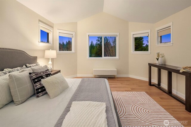 bedroom with baseboards, vaulted ceiling, and wood finished floors