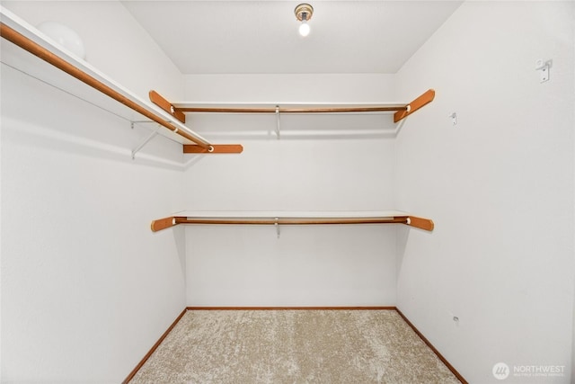 spacious closet with carpet