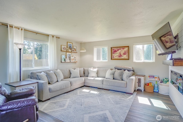 4647 Ohio St, Longview, WA 98632 - living area featuring wood finished floors and a wealth of natural light