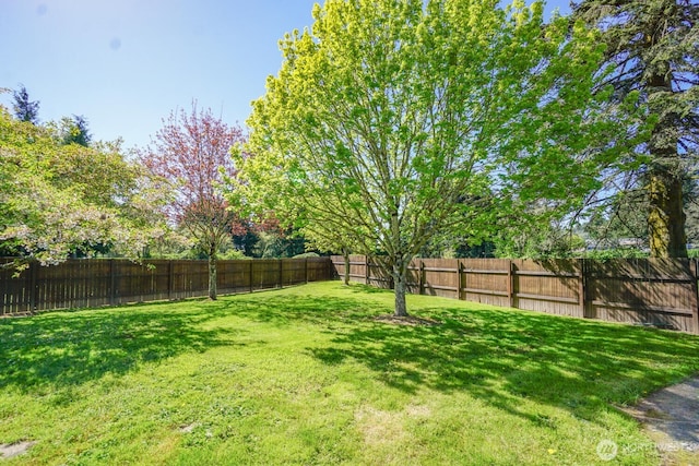 4647 Ohio St, Longview, WA 98632 - view of yard featuring a fenced backyard