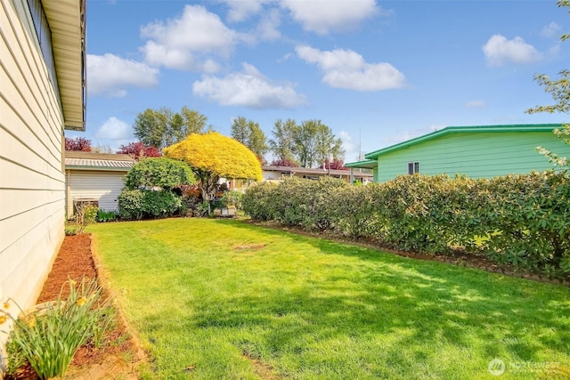view of yard