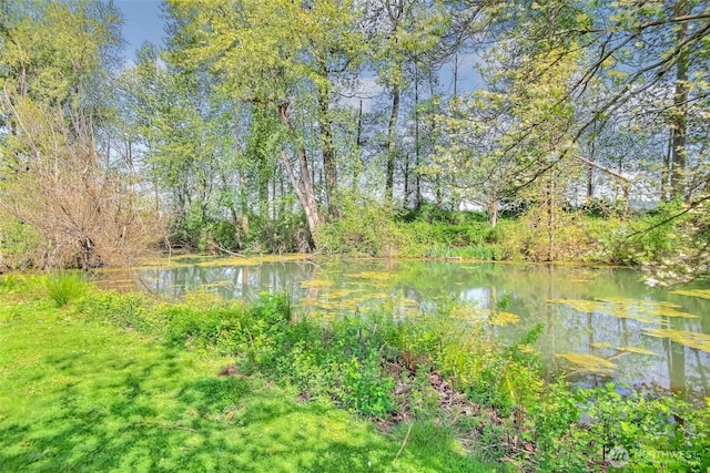water view