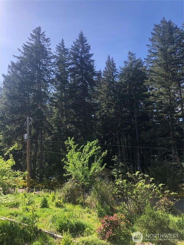 90 E Connemara, Shelton, WA 98584 - view of woods