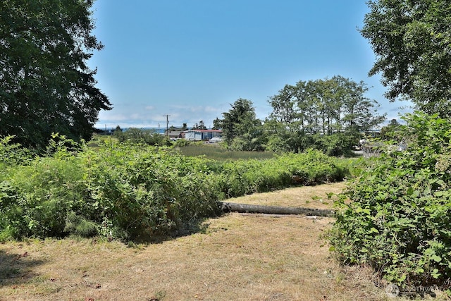 3776 Shorewood Ave, Greenbank, WA 98253 - photo 1