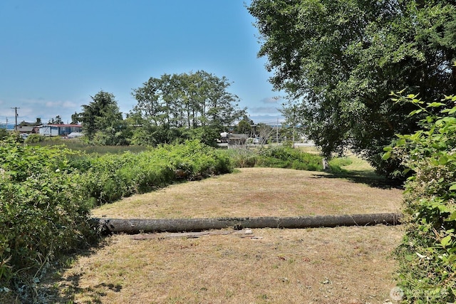 3776 Shorewood Ave, Greenbank, WA 98253 - photo 2