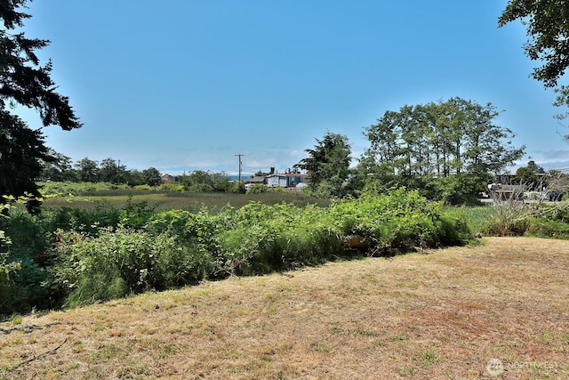 3776 Shorewood Ave, Greenbank, WA 98253 - photo 3