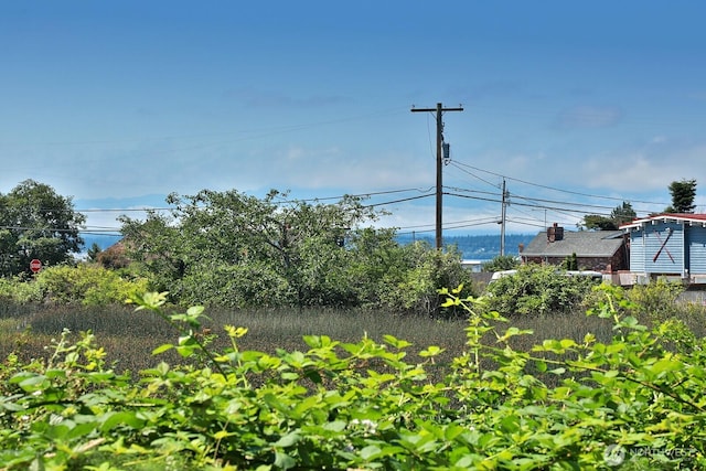 3776 Shorewood Ave, Greenbank, WA 98253 - photo 4