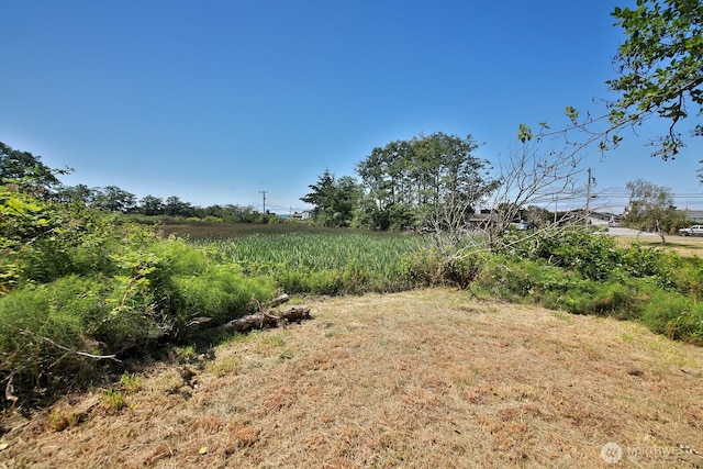 3776 Shorewood Ave, Greenbank, WA 98253 - photo 5