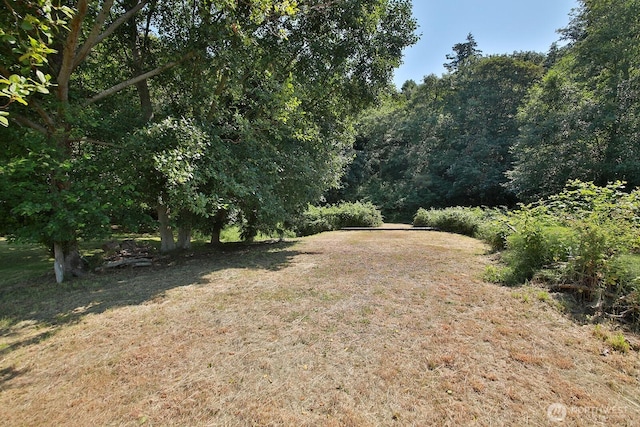3776 Shorewood Ave, Greenbank, WA 98253 - photo 7