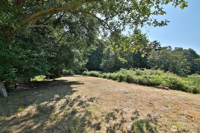 3776 Shorewood Ave, Greenbank, WA 98253 - photo 8