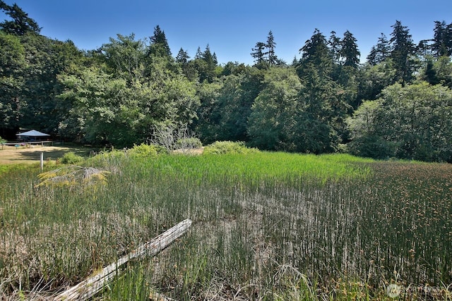 3776 Shorewood Ave, Greenbank, WA 98253 - photo 15