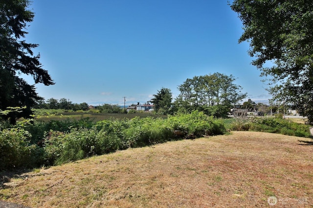 3776 Shorewood Ave, Greenbank, WA 98253 - photo 21