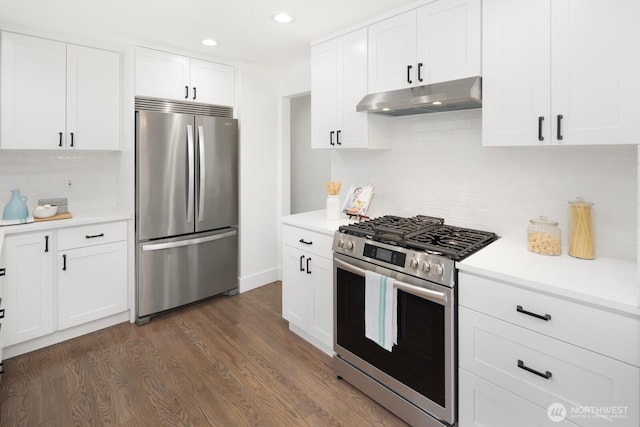 kitchen featuring light countertops, tasteful backsplash, appliances with stainless steel finishes, and under cabinet range hood