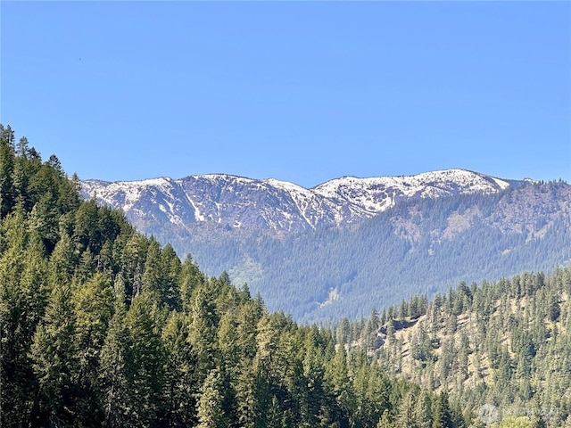 10499 Eagle Creek Rd, Leavenworth, WA 98826