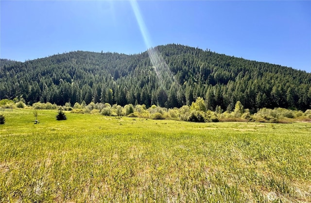10499 Eagle Creek Rd, Leavenworth, WA 98826