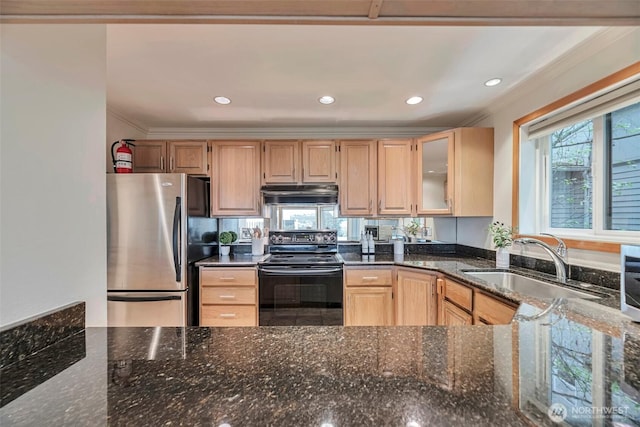 1028 Lakeview Blvd E Unit 6, Seattle, WA 98102 - kitchen featuring a sink, freestanding refrigerator, black electric range oven, under cabinet range hood, and ornamental molding