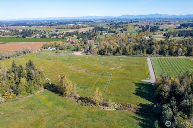 1379 Ten Mile Rd, Everson, WA 98247 - photo 9