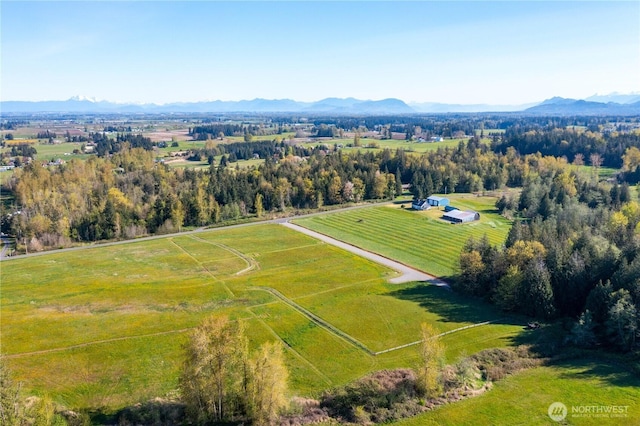 1379 Ten Mile Rd, Everson, WA 98247 - photo 11