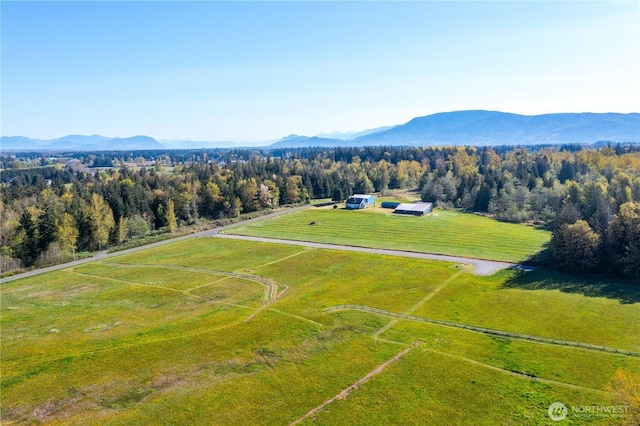 1379 Ten Mile Rd, Everson, WA 98247 - photo 13